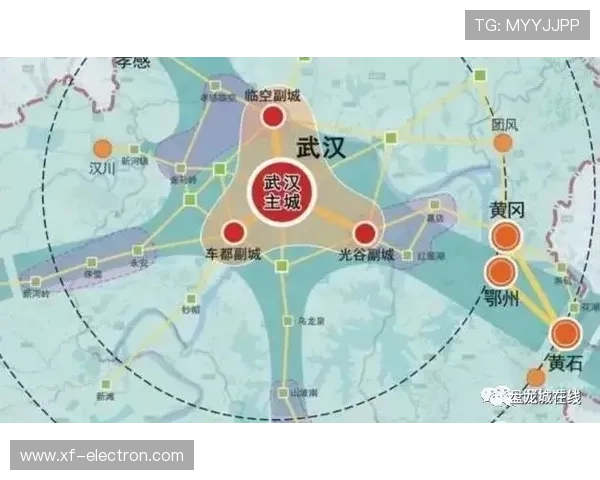 以武汉体育学院为核心探寻区域体育文化协同发展路径研究与实践 以武汉体育学院为核心探寻区域体育文化协同发展路径研究与实践